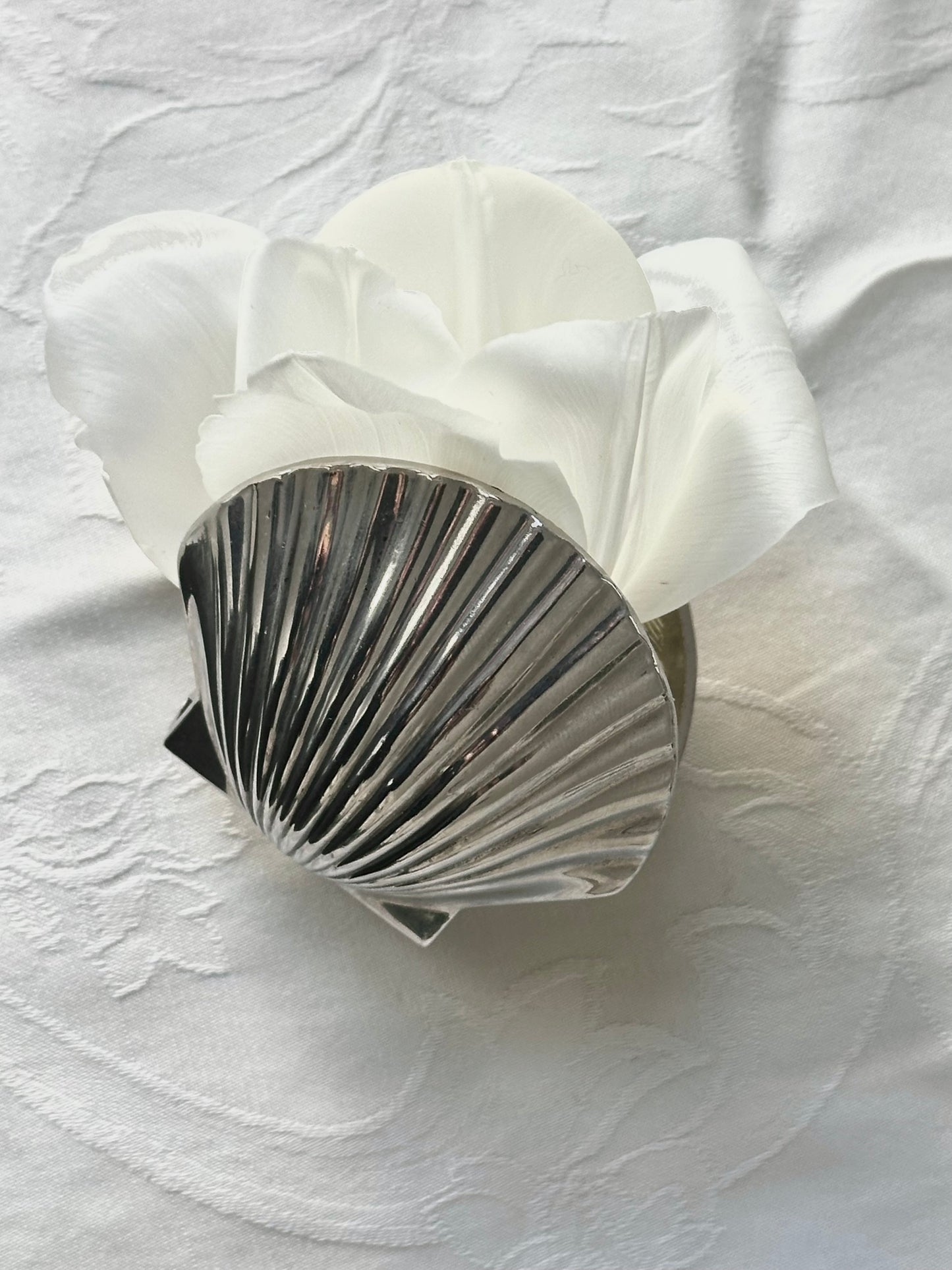 SHELL RING BOX
