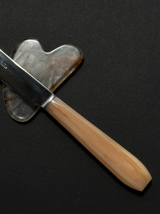 French vintage knife set of 12